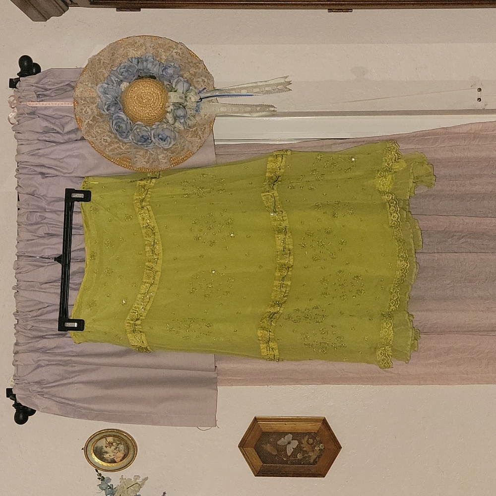 Beaded Silk skirt